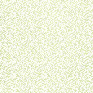 Schumacher Wallpaper Coral Vine Aloe 5004412