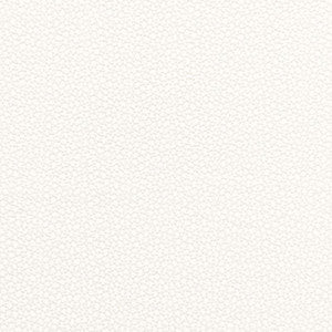 Schumacher Fabric Rossini Sheer Ivory 67660