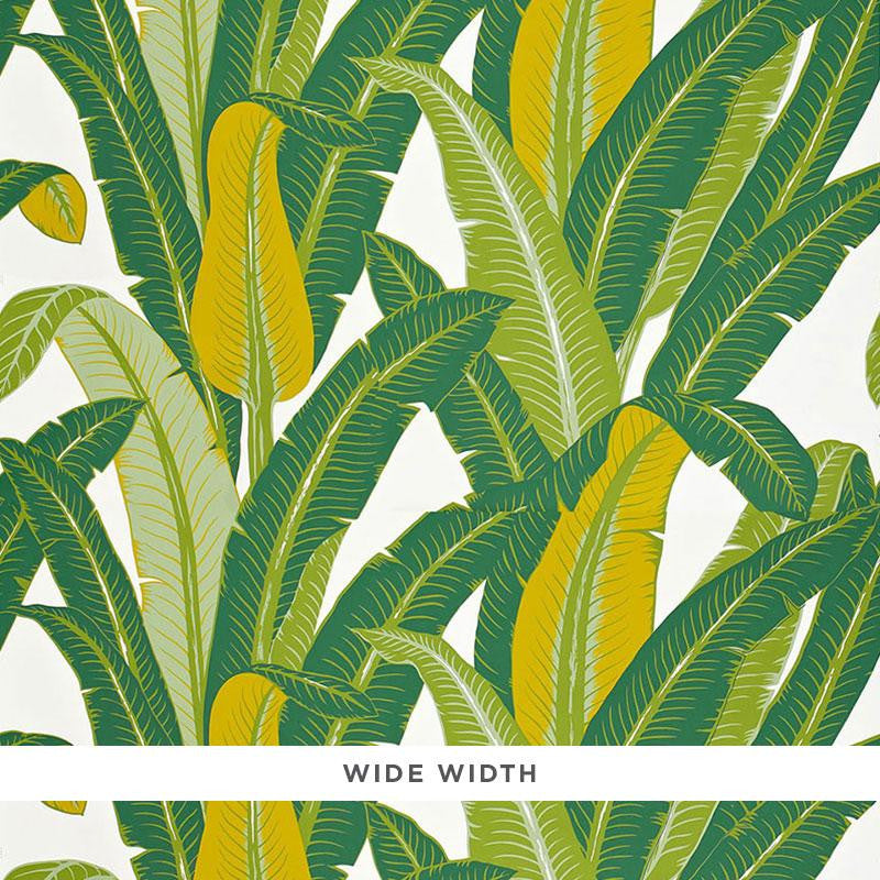 Tropical Isle Green On White 2707230 by Schumacher Designer Wallpaper Full Bloom 54.0" - Swanky Fabrics -
