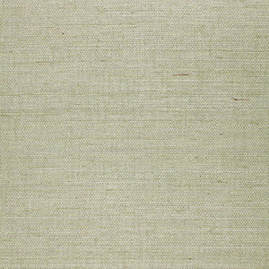 Schumacher Wallpaper Suwon Sisal Aqua 5000760