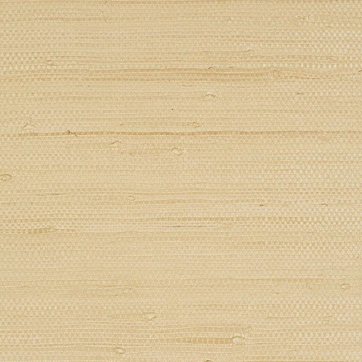 Kiyoko Jute Natural 5008850 by Schumacher Designer Wallpaper Textural Appeal - Swanky Fabrics -