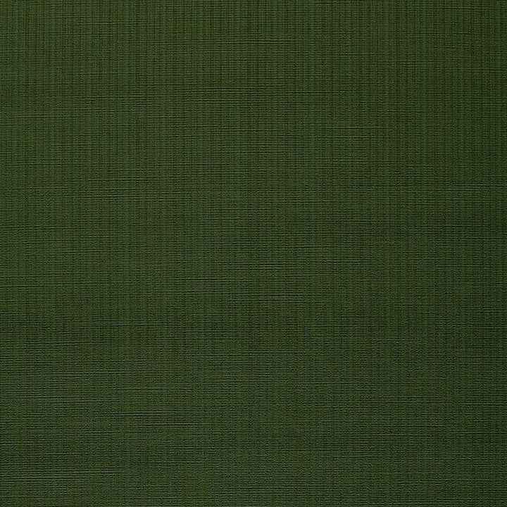 Antique Strie Velvet Olive 43055 by Schumacher Designer Fabric Perfect Basics: Velvet - Swanky Fabrics -