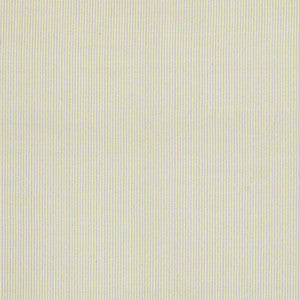 Schumacher Fabric Charee Silk Stripe Light Blue & White 60911
