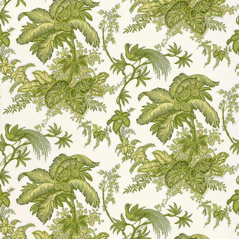 Coconut Grove Leaf 5004053 by Schumacher Designer Wallpaper Classic Prints 13.5" - Swanky Fabrics -