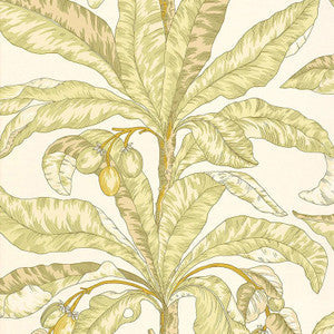 Schumacher Wallpaper Blair House Palm Kiwi 5004062