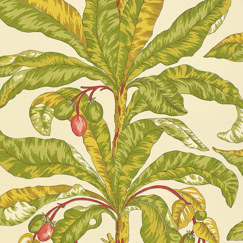 Blair House Palm Tropical 5004063 by Schumacher Designer Wallpaper Tropicana 27.0" - Swanky Fabrics -
