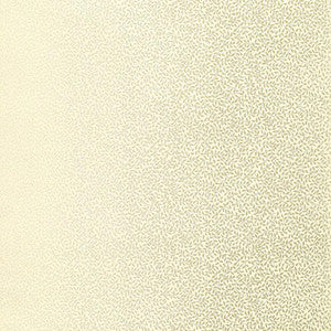 Schumacher Wallpaper Celano Vine Mineral 5004443