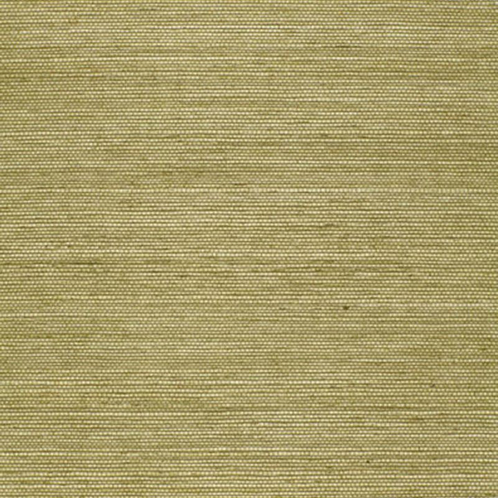 Haruki Sisal Olive 5004709 by Schumacher Designer Wallpaper Essential - Swanky Fabrics -