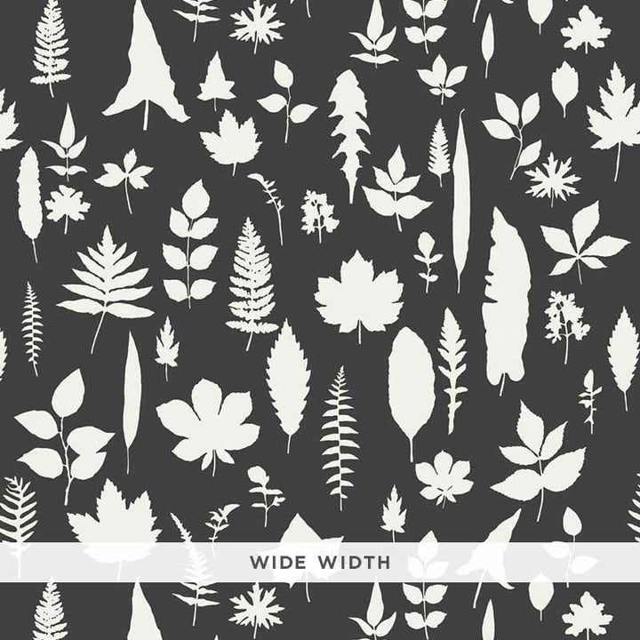 Leaves Graphite 5005023 by Schumacher Designer Wallpaper Modern Nature 54.0" - Swanky Fabrics -