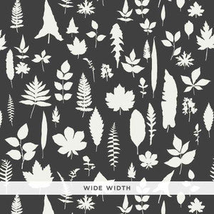 Schumacher Wallpaper Leaves Graphite 5005023