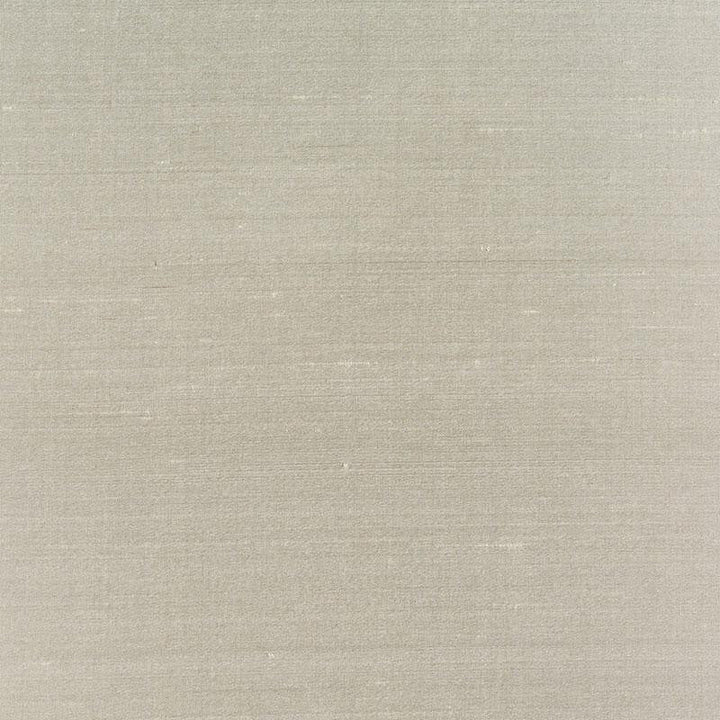 Bellini Silk Oyster 63789 by Schumacher Designer Fabric Perfect Basics: Silk & Taffeta - Swanky Fabrics -