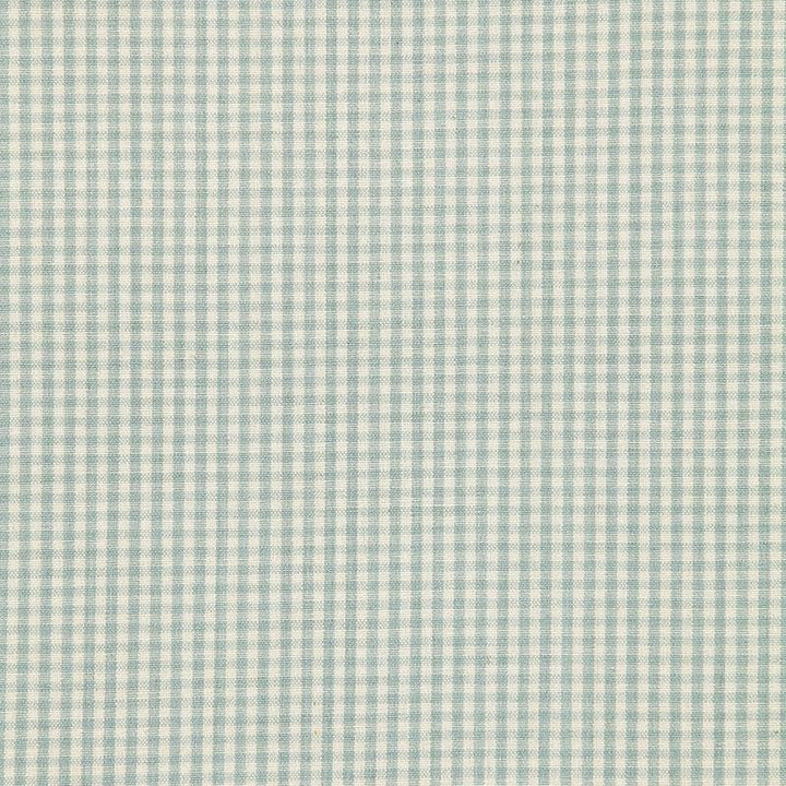 Barnet Cotton Check Aqua 64622 by Schumacher Designer Fabric Chroma - Swanky Fabrics -