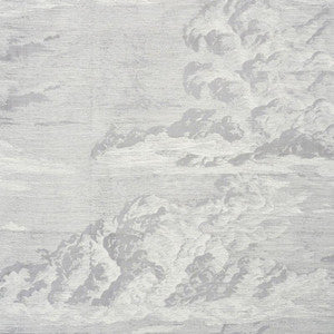 Schumacher Fabric Cloud Toile Fog 177002