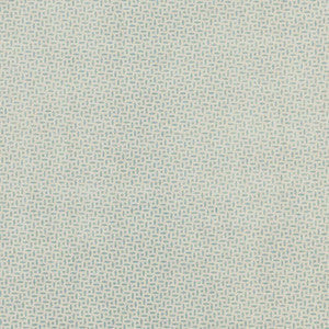 Schumacher Fabric Berrydown Aqua BERR003