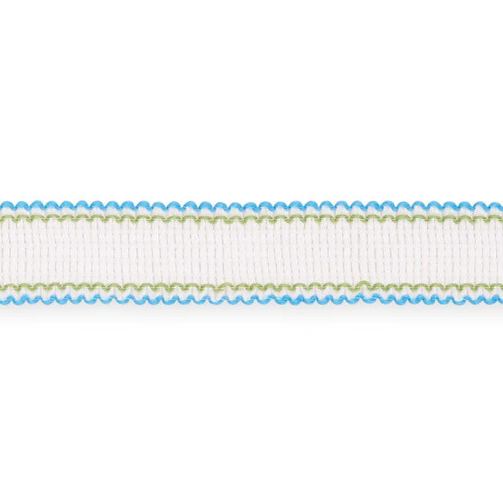 Filippa Tape Indoor/Outdoor Aqua 73571 by Schumacher Designer Trim Isola Indoor/Outdoor - Swanky Fabrics -