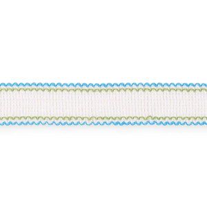 Schumacher Trim Filippa Tape Indoor/Outdoor Aqua 73571