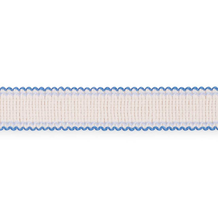 Filippa Tape Indoor/Outdoor Delft 73574 by Schumacher Designer Trim Isola Indoor/Outdoor - Swanky Fabrics -