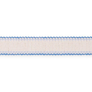 Schumacher Trim Filippa Tape Indoor/Outdoor Delft 73574
