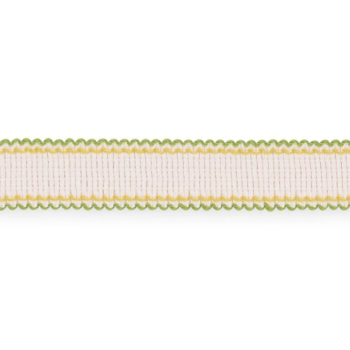 Filippa Tape Indoor/Outdoor Leaf 73575 by Schumacher Designer Trim Isola Indoor/Outdoor - Swanky Fabrics -