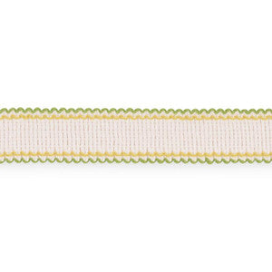 Schumacher Trim Filippa Tape Indoor/Outdoor Leaf 73575