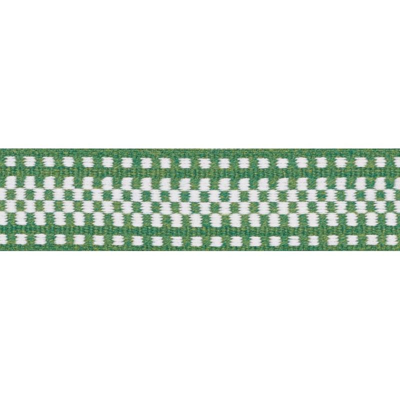 Marta Tape Indoor/Outdoor Green 73655 by Schumacher Designer Trim Indoor/Outdoor: Prints & Wovens - Swanky Fabrics -