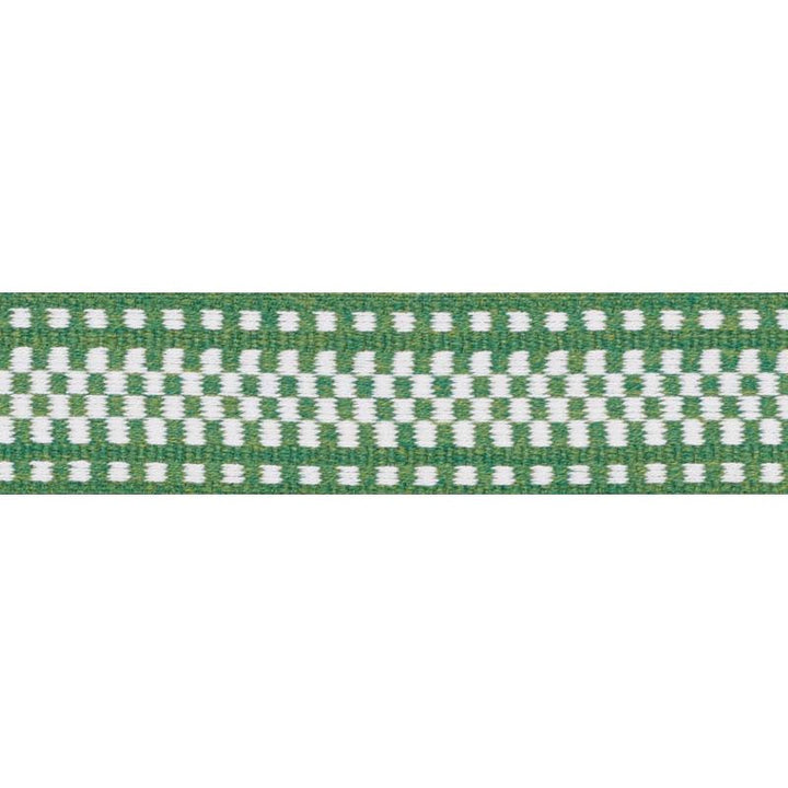 Marta Tape Indoor/Outdoor Green 73655 by Schumacher Designer Trim Indoor/Outdoor: Prints & Wovens - Swanky Fabrics -