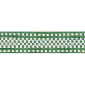 Schumacher Trim Marta Tape Indoor/Outdoor Green 73655