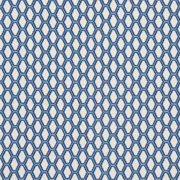 Beehive Blue 73420 by Schumacher Designer Fabric Happy Together 1.5" - Swanky Fabrics -
