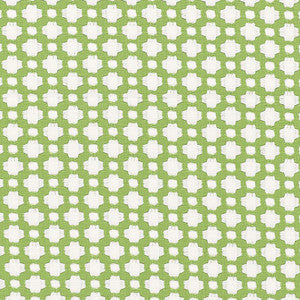 Schumacher Fabric Betwixt Leaf/Blanc 65688