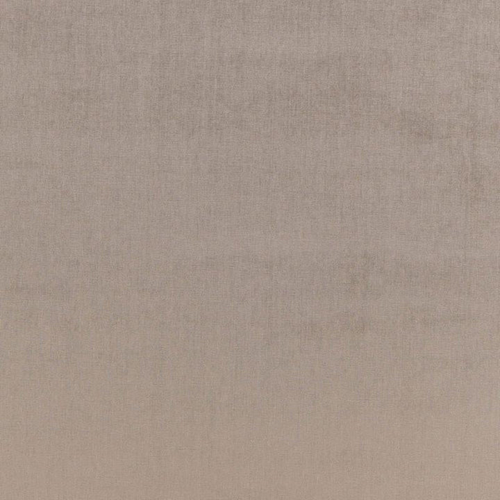 Sophia Velvet Nickel 68163 by Schumacher Designer Fabric Perfect Basics: Velvet - Swanky Fabrics -