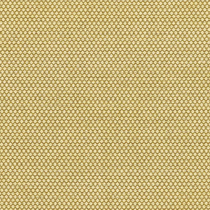 Sorano Chenille Sage 62583 by Schumacher Designer Fabric Chroma - Swanky Fabrics -