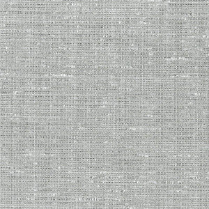 Schumacher Wallpaper Anodized Raffia Platinum 5007780