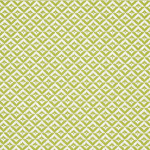 Schumacher Fabric Jamison Leaf 69841