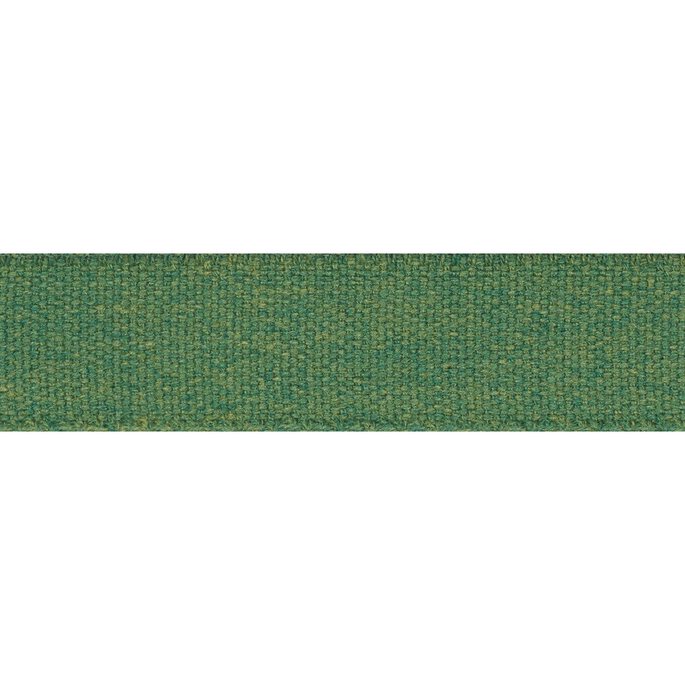 Ashwood Tape Indoor/Outdoor Green 72414 by Schumacher Designer Trim Indoor-Outdoor Trims - Swanky Fabrics -