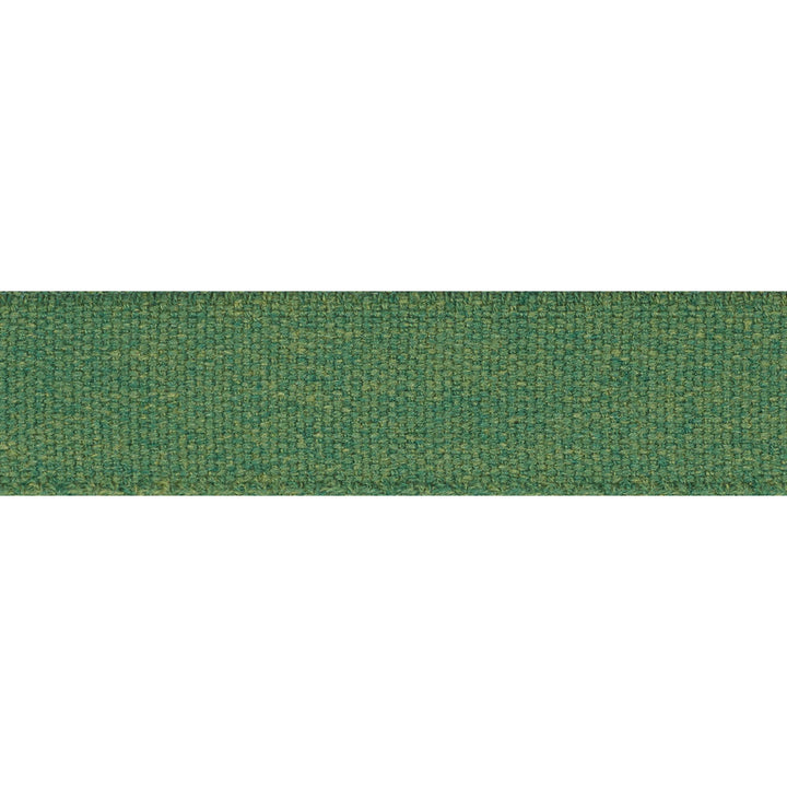 Ashwood Tape Indoor/Outdoor Green 72414 by Schumacher Designer Trim Indoor-Outdoor Trims - Swanky Fabrics -