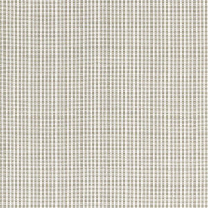 Schumacher Fabric Aruba Check Stone 68043