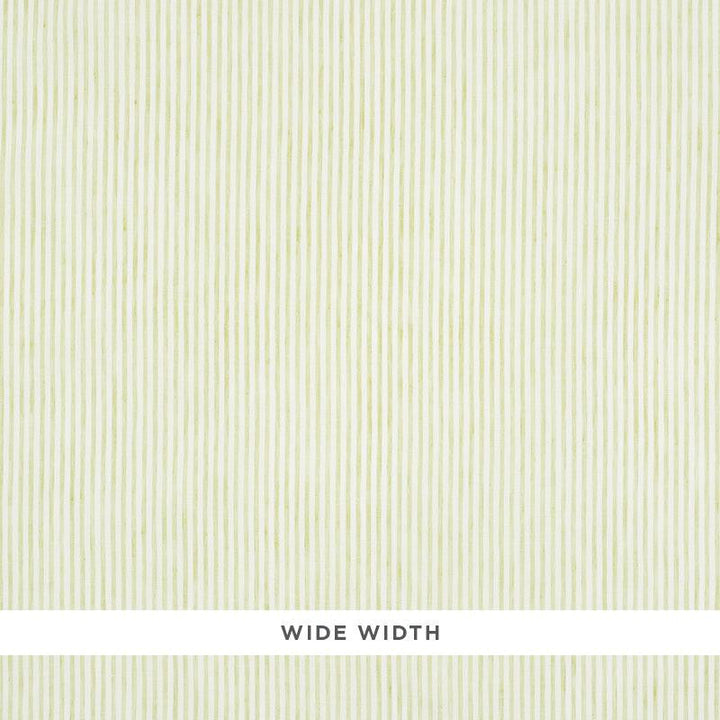 Tori Stripe Sheer Leaf 70063 by Schumacher Designer Fabric Essentials: Sheers & Casements - Swanky Fabrics -