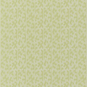 Schumacher Wallpaper Montpellier Lime Blossom 5008162