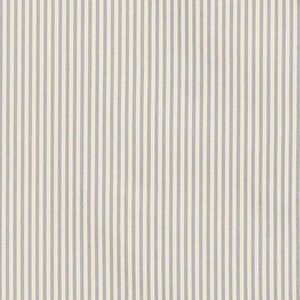 Schumacher Fabric Charee Silk Stripe Blue And White 60921