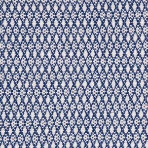 Schumacher Fabric Zoila Blue 71861
