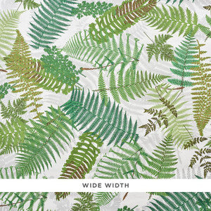 Schumacher Wallpaper Fernarium Ivory & Leaf 5009190