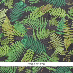 Schumacher Wallpaper Fernarium Black & Leaf 5009191