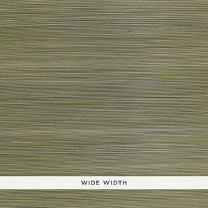 Schumacher Wallpaper Zen Bamboo Sage 5006401
