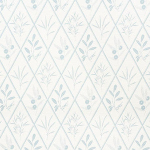Schumacher Fabric Endimione Sky 177640