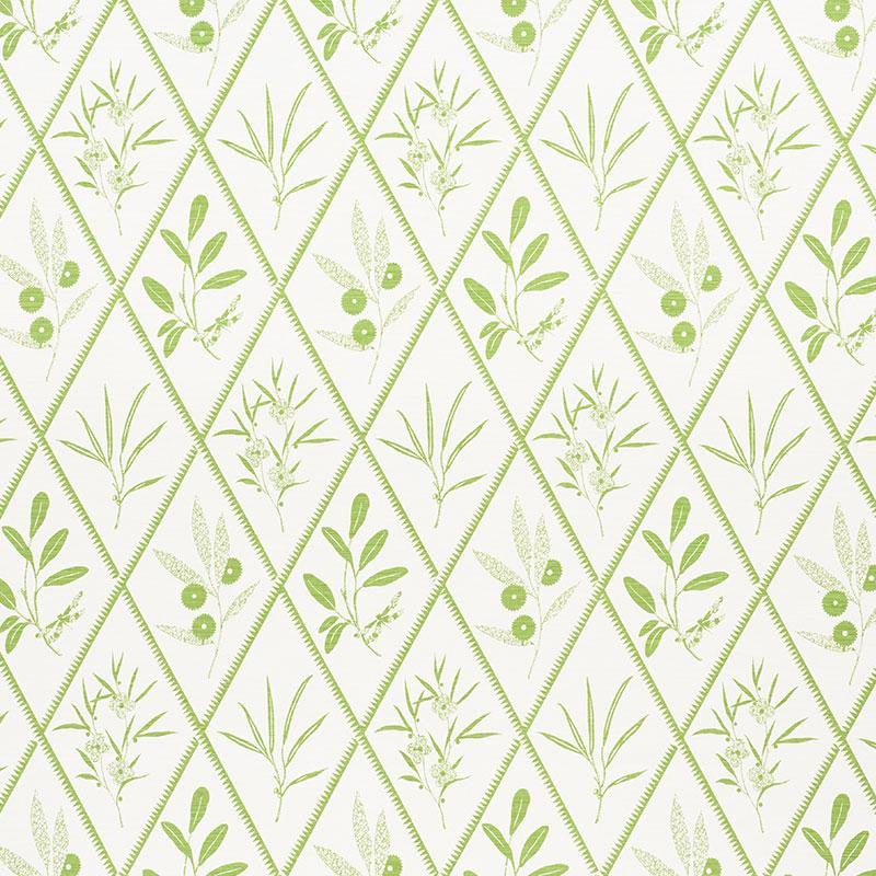 Endimione Leaf 177641 by Schumacher Designer Fabric Charlap Hyman & Herrero 13.25" - Swanky Fabrics -