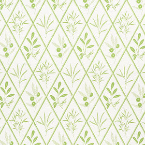 Schumacher Fabric Endimione Leaf 177641