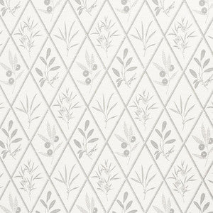 Schumacher Fabric Endimione Grey 177642
