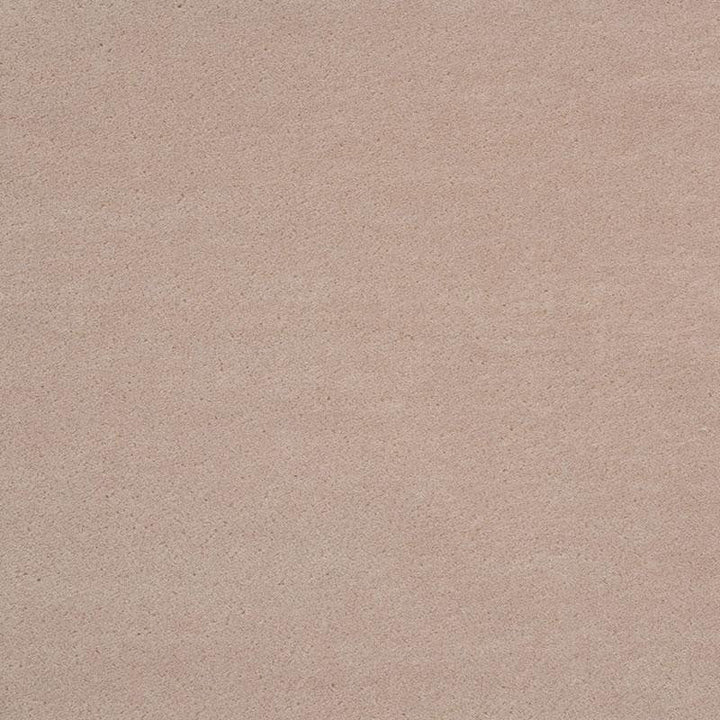 Regal Mohair Parchment 73685 by Schumacher Designer Fabric Perfect Basics: Velvet - Swanky Fabrics -