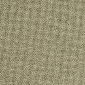 Schumacher Fabric Langham High Performance Union Thyme 69619
