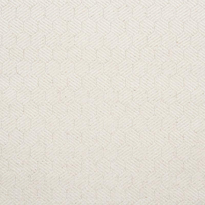 Abaco Ivory 75340 by Schumacher Designer Fabric Nautilus 1.25" - Swanky Fabrics -